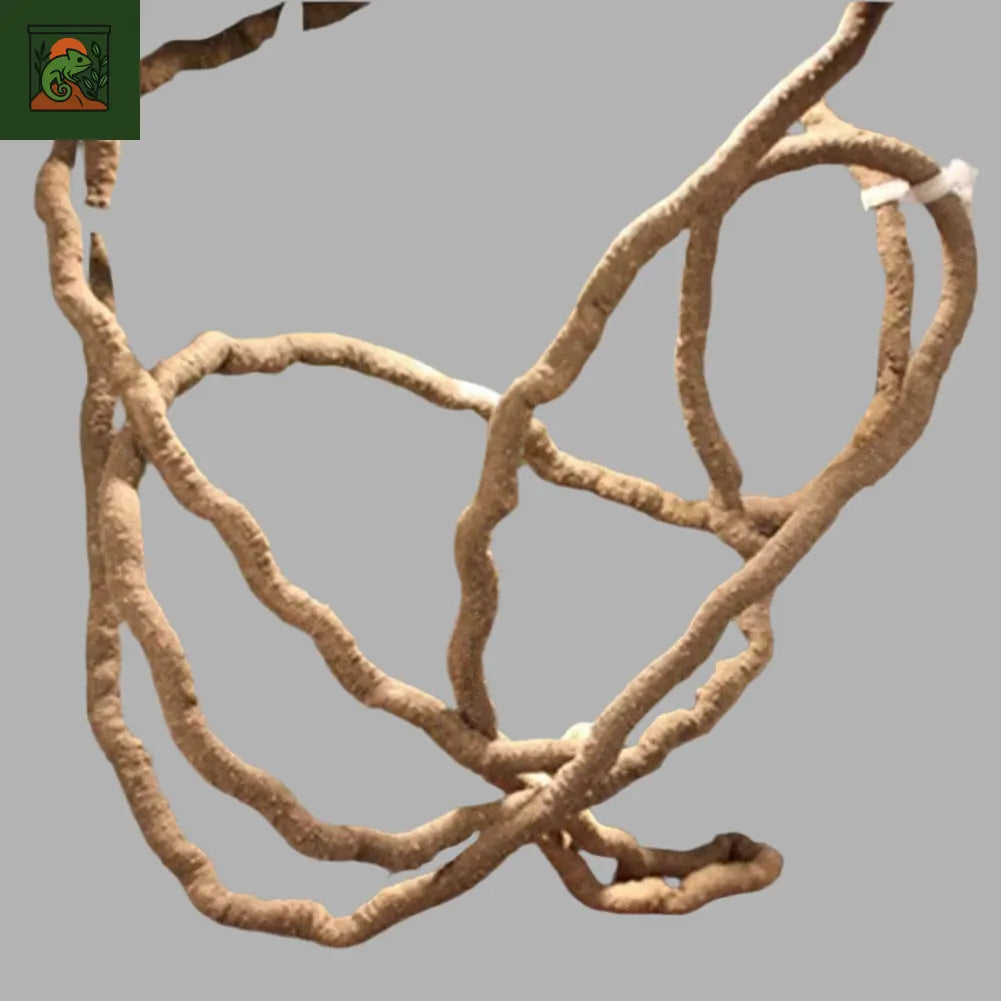 Liane Artificielle avec Ventouses pour Terrarium – Décor Jungle pour Reptiles Grimpeurs - LeTerrarium