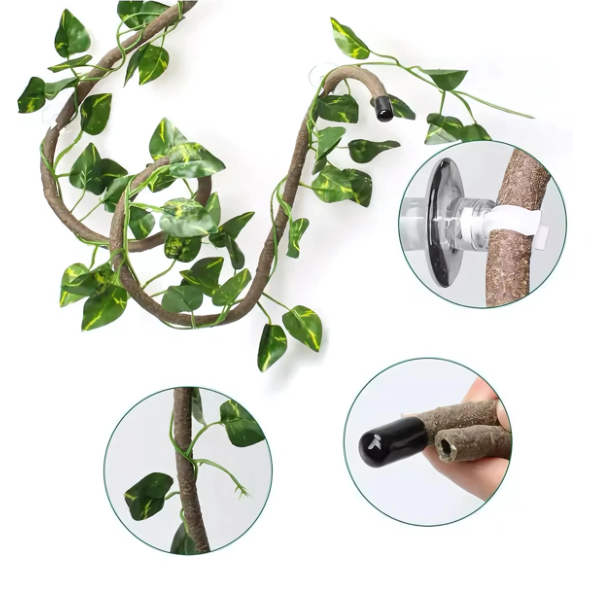 Liane pour Terrarium avec Ventouses – Décor Jungle Reptiles Grimpeurs 
