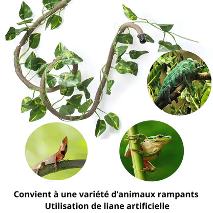Liane pour Terrarium avec Ventouses – Décor Jungle Reptiles Grimpeurs 