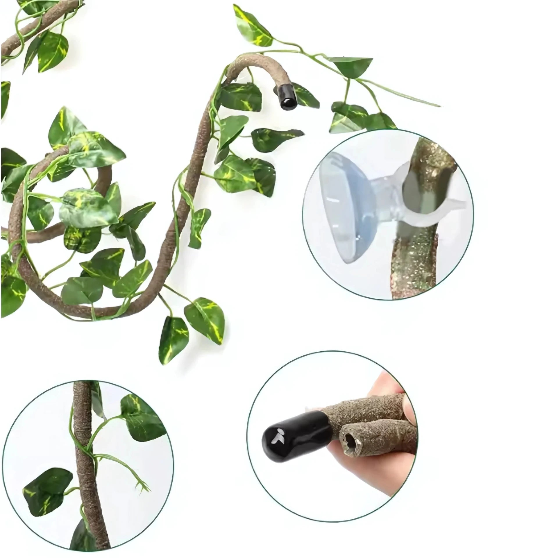 Liane pour Terrarium avec Ventouses – Décor Jungle Reptiles Grimpeurs 