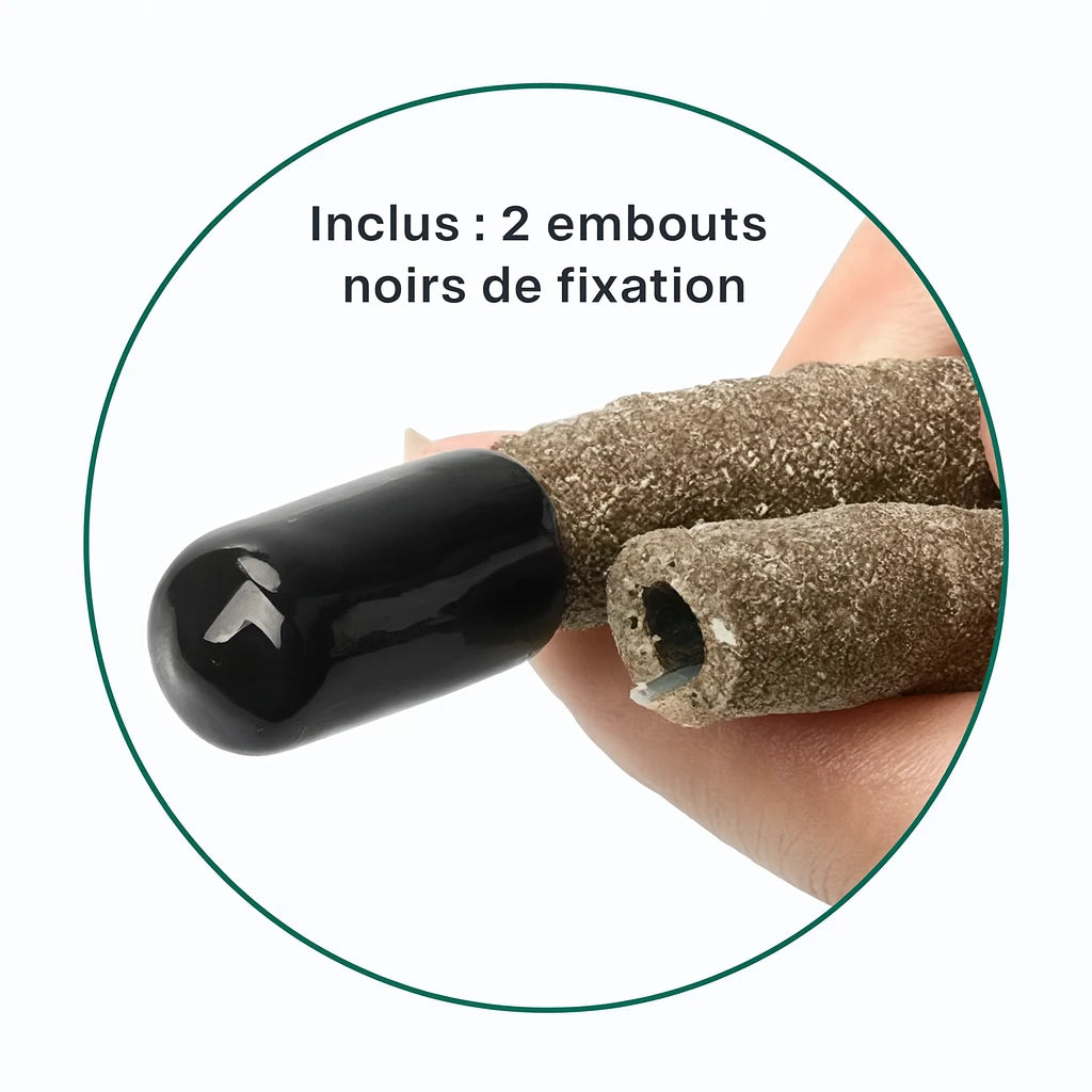 Liane pour Terrarium avec Ventouses – Décor Jungle Reptiles Grimpeurs 