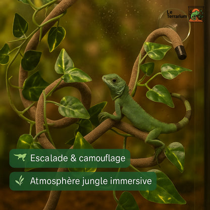 Liane pour Terrarium avec Ventouses – Décor Jungle Reptiles Grimpeurs 