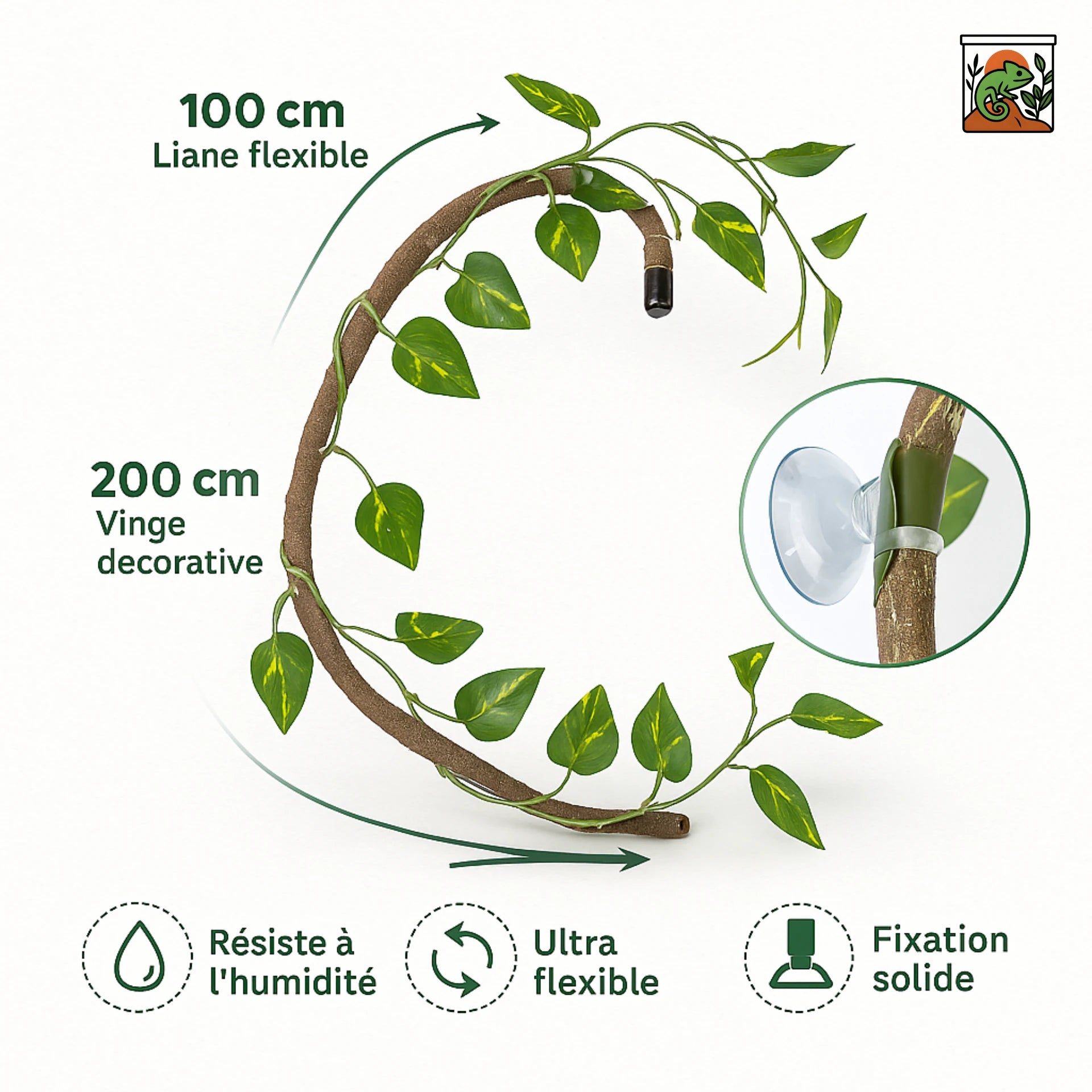 Liane pour Terrarium avec Ventouses – Décor Jungle Reptiles Grimpeurs 