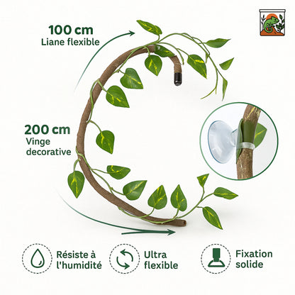 Liane pour Terrarium avec Ventouses – Décor Jungle Reptiles Grimpeurs 