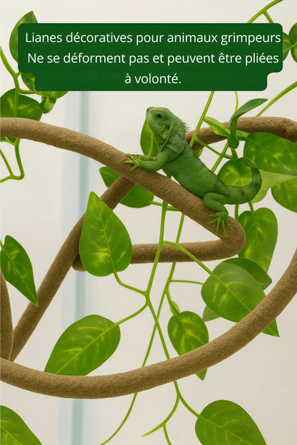 Liane pour Terrarium avec Ventouses 