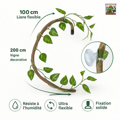 Liane pour Terrarium avec Ventouses 