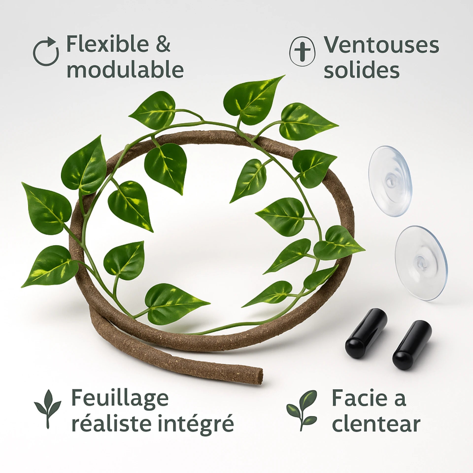 Liane pour Terrarium avec Ventouses – Décor Jungle Reptiles Grimpeurs 