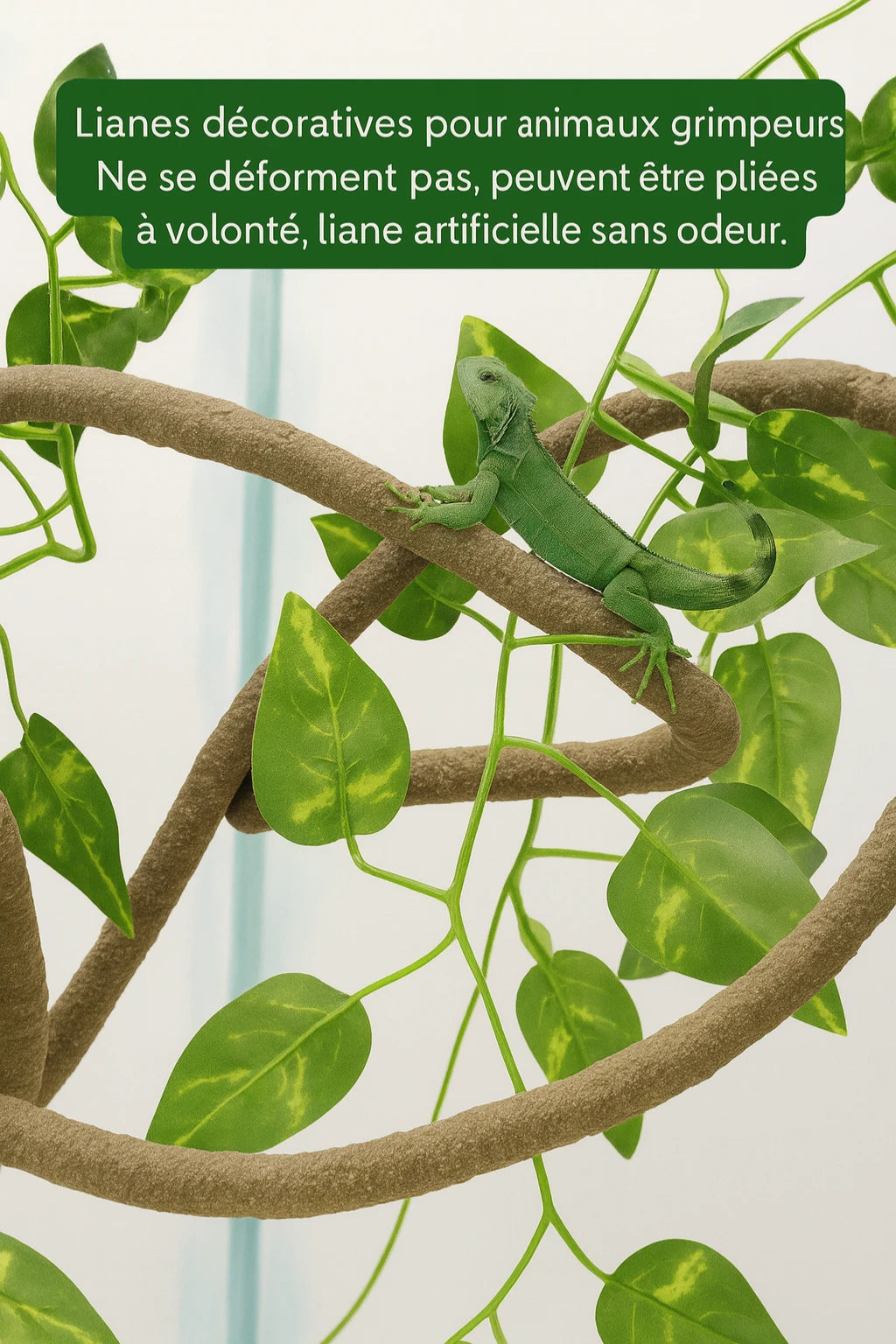Liane pour Terrarium avec Ventouses – Décor Jungle Reptiles Grimpeurs 