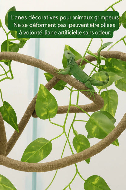Liane pour Terrarium avec Ventouses – Décor Jungle Reptiles Grimpeurs 