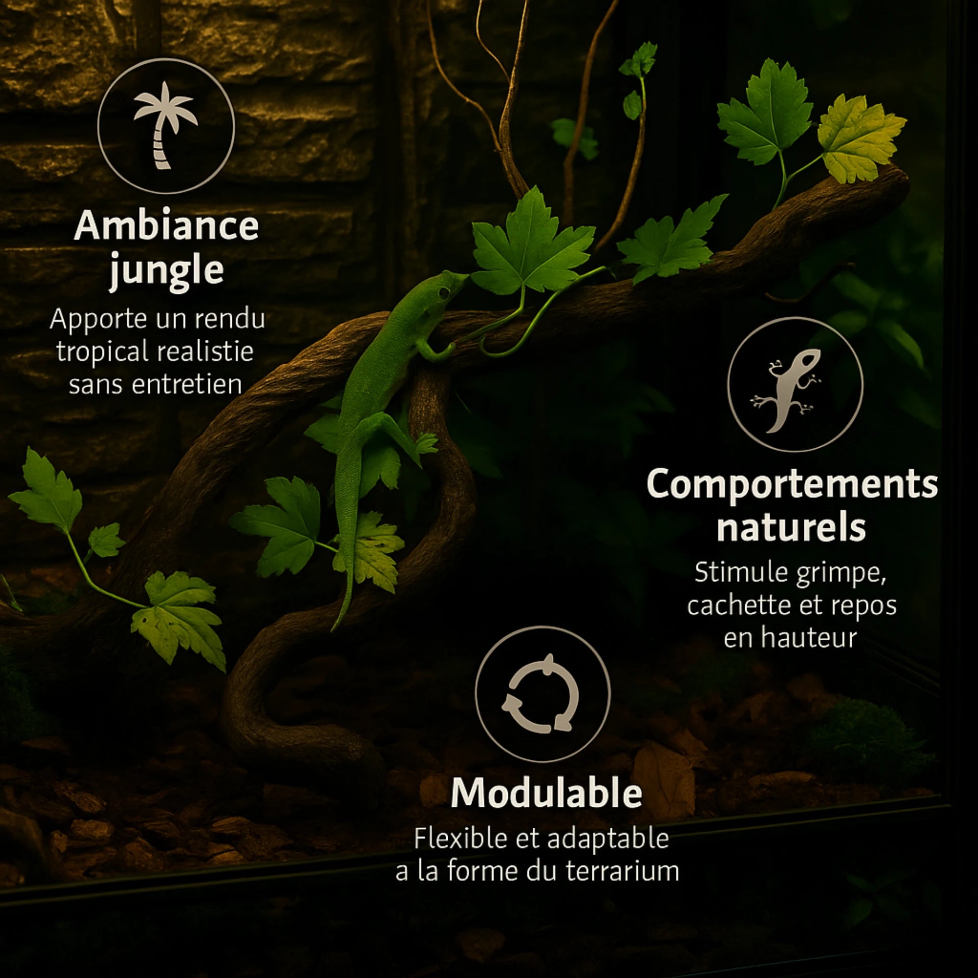 Lianes pour Terrarium style Jungle 