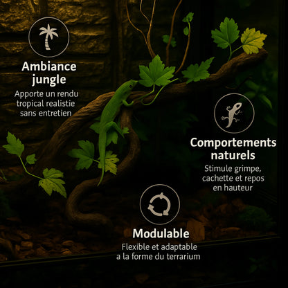 Lianes pour Terrarium style Jungle 
