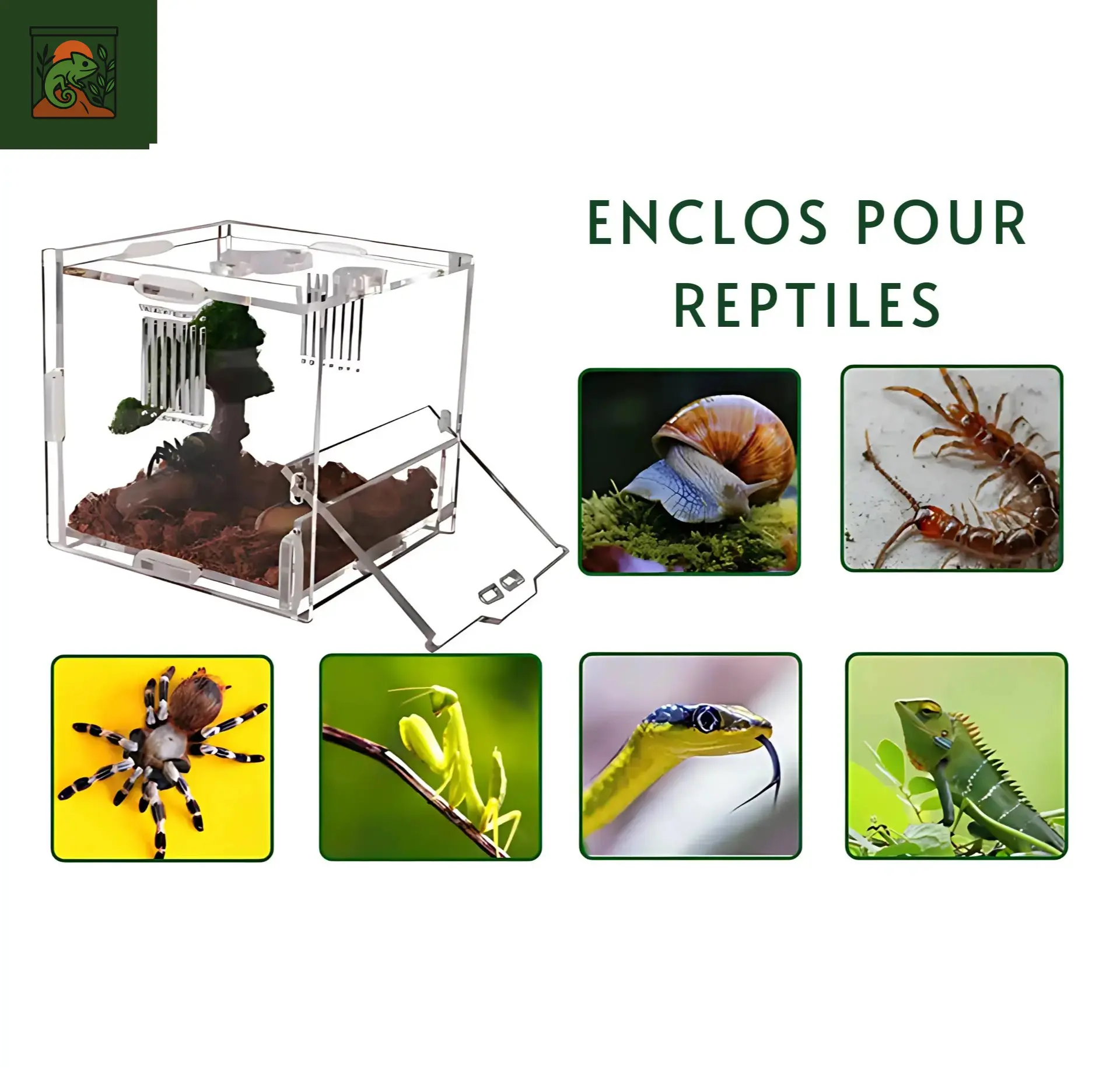 Mini Terrarium Transparent – Habitat Sûr pour Microfaune & Reptiles 