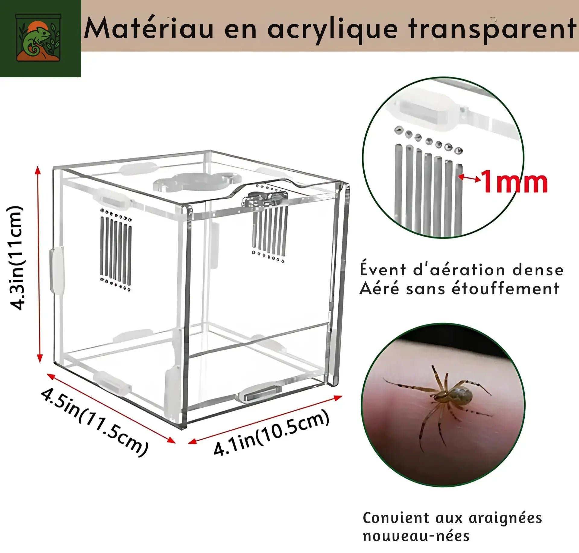 Mini Terrarium Transparent – Habitat Sûr pour Microfaune & Reptiles 