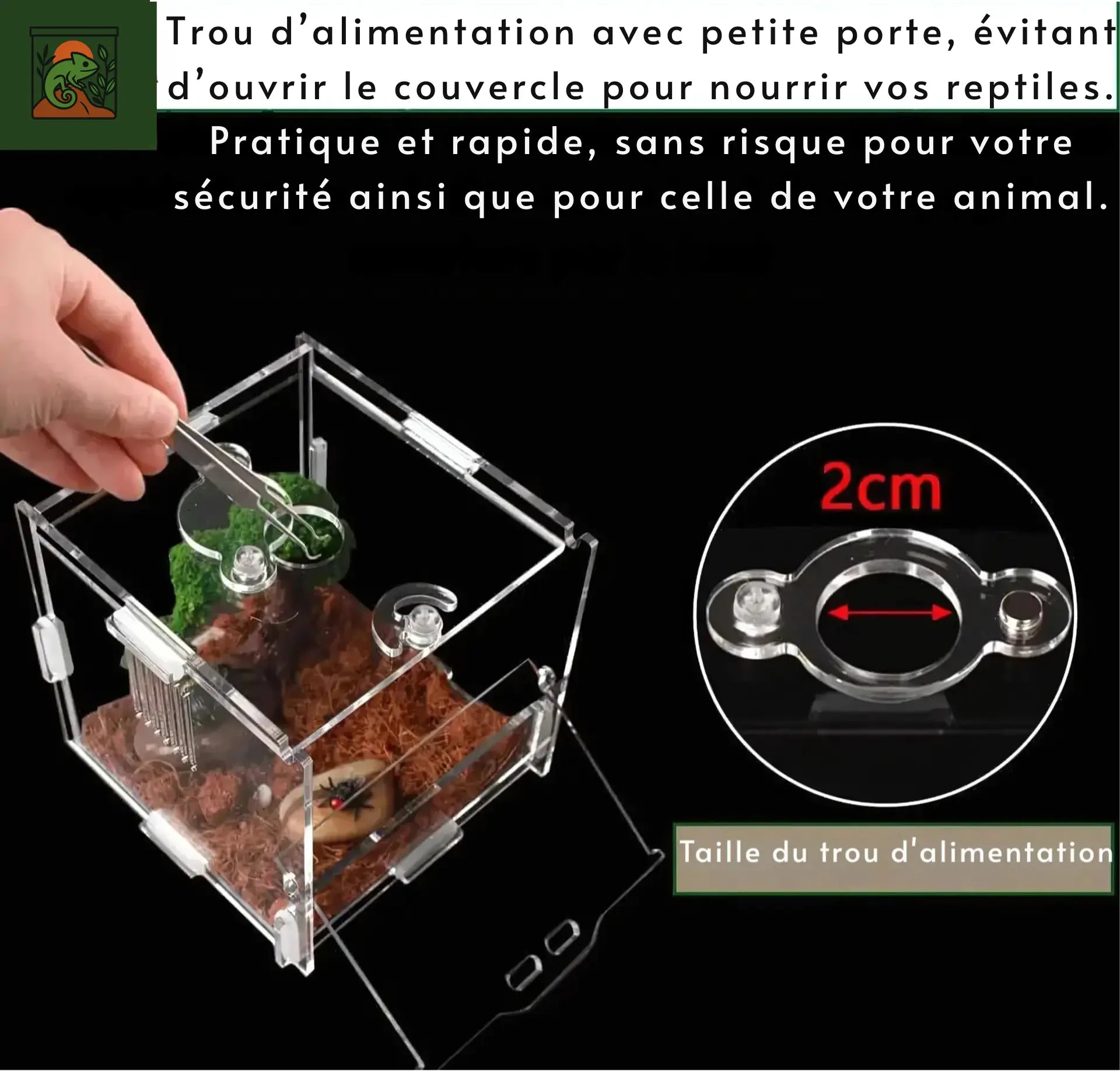 Mini Terrarium Transparent – Habitat Sûr pour Microfaune & Reptiles 