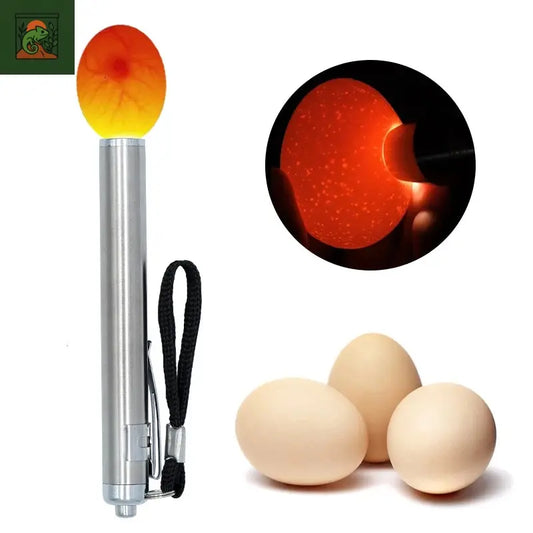 Incubateur Eggtester oeuf Candling lampe LED Super froid équipement outil d'incubation pour poulet caille oeufs outils d'incubation 