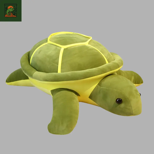 Peluche Tortue 
