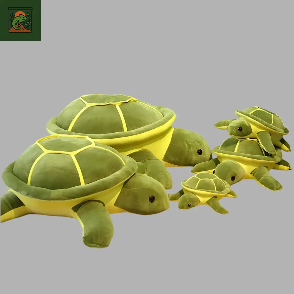 Peluche Tortue 