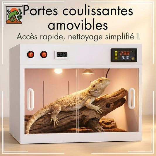 Petit Terrarium en PVC 