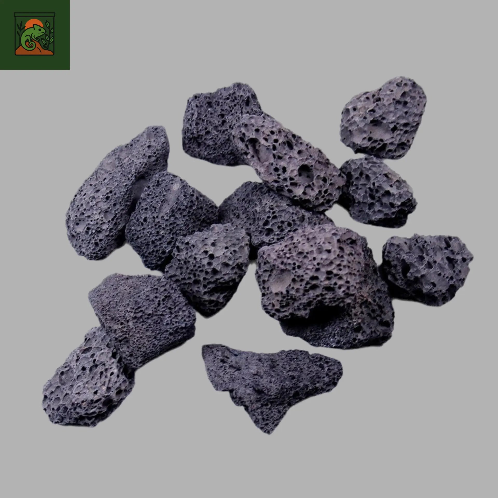 Pierre Volcanique - Roches Décoratives pour Terrarium 