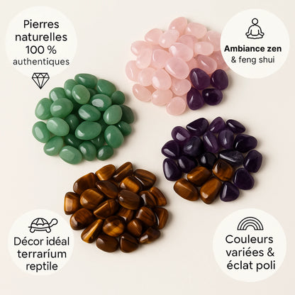 Pierres Naturelles et Cristaux pour Terrarium 