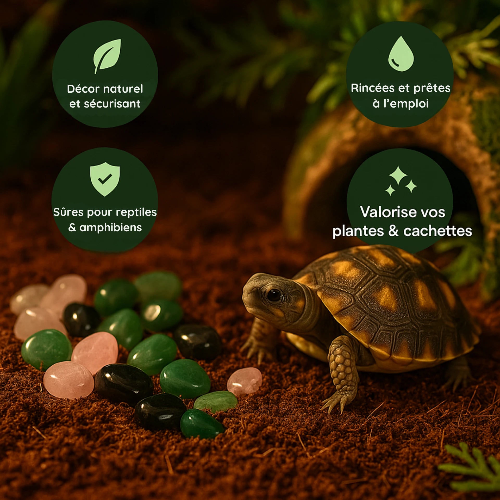 Pierres Naturelles et Cristaux pour Terrarium 