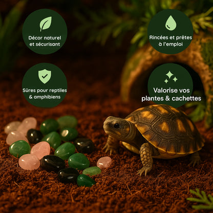 Pierres Naturelles et Cristaux pour Terrarium 