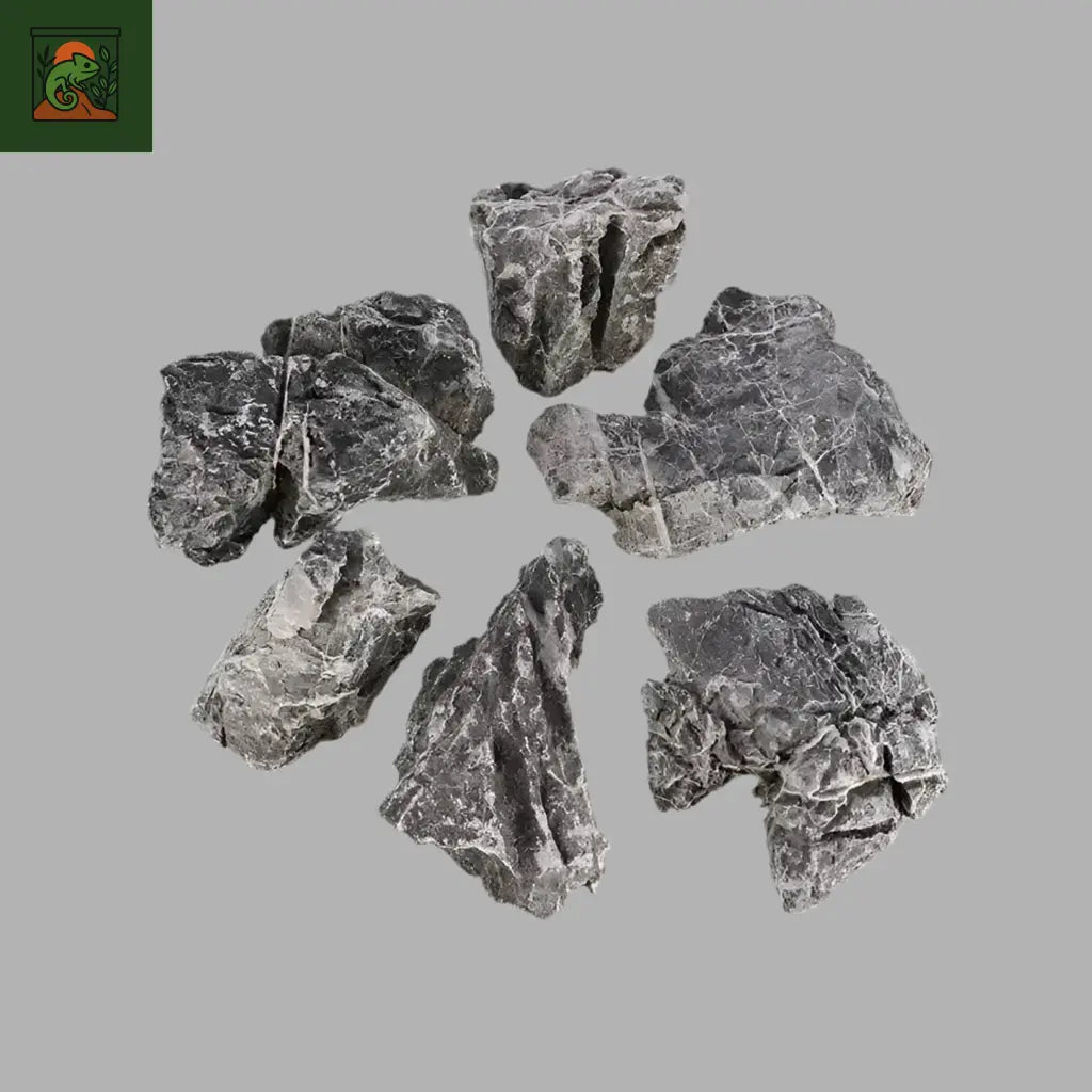 Pierres Naturelles pour Terrarium 