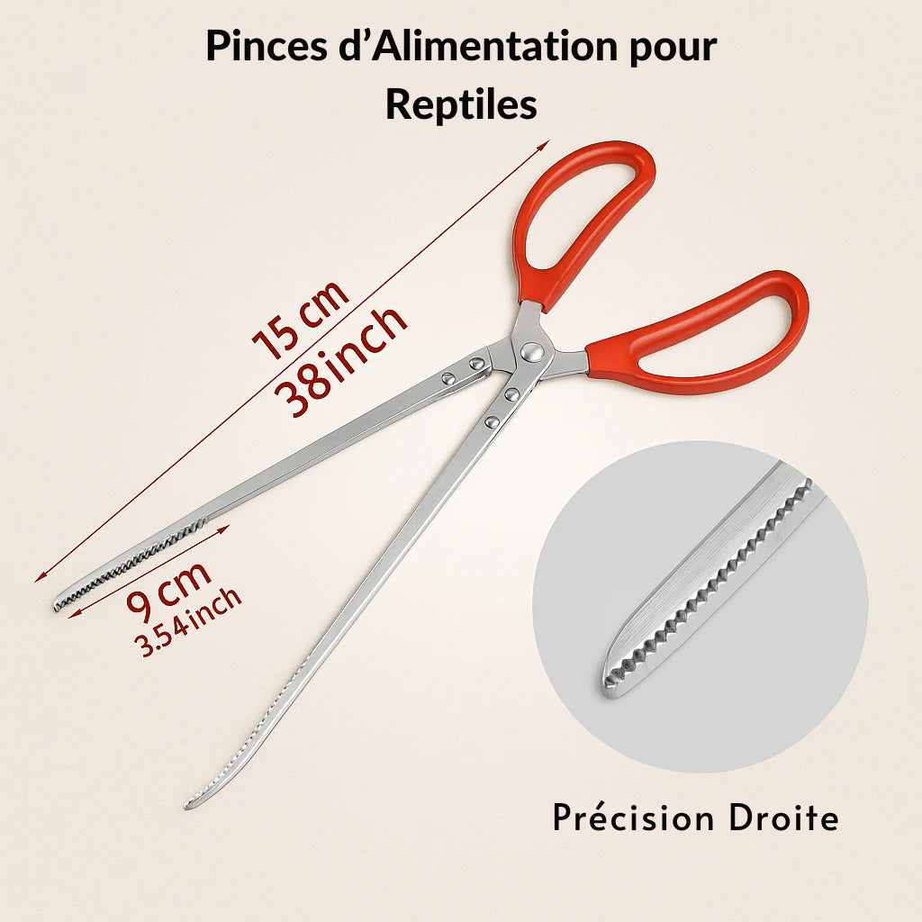 Pinces d’Alimentation Longues pour Terrarium – Précision & Sécurité 