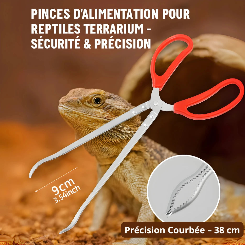 Pinces d’Alimentation Longues pour Terrarium – Précision & Sécurité 