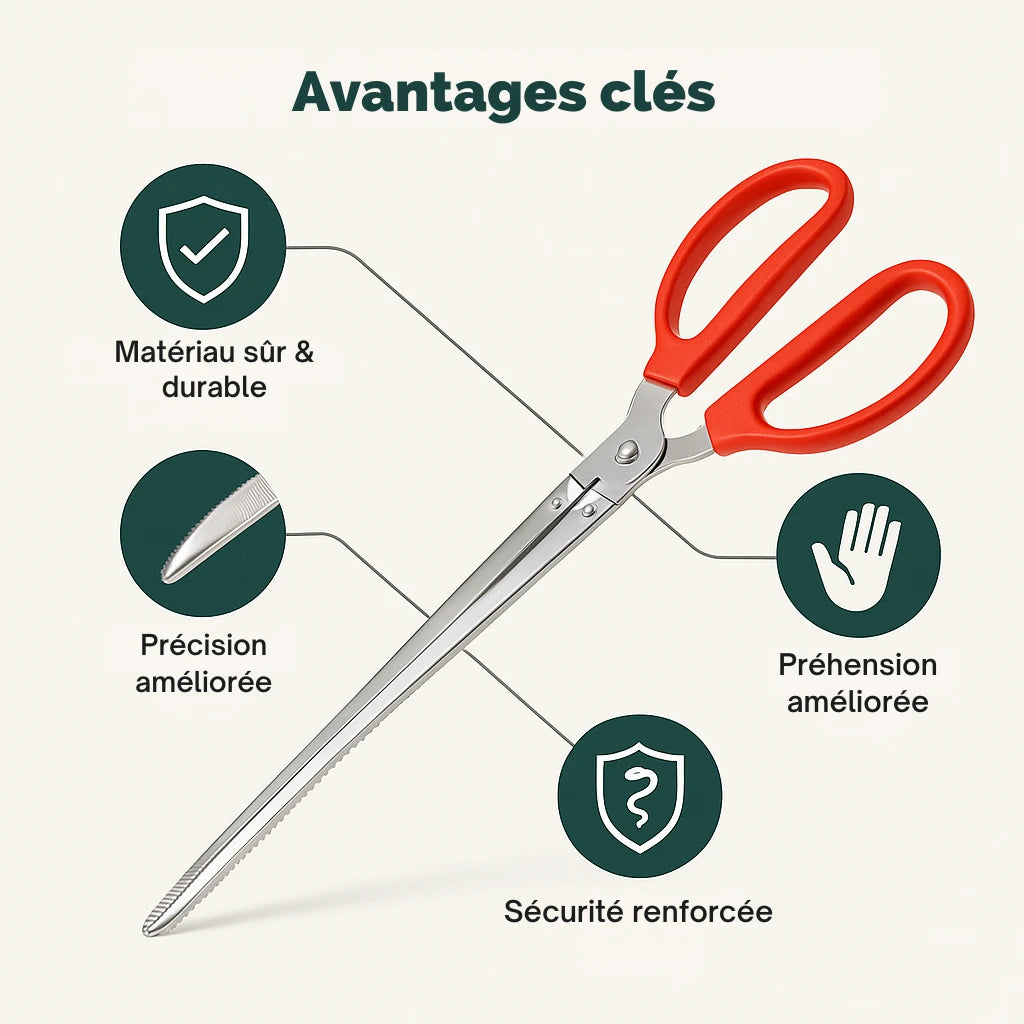 Pinces d’Alimentation Longues pour Terrarium – Précision & Sécurité 