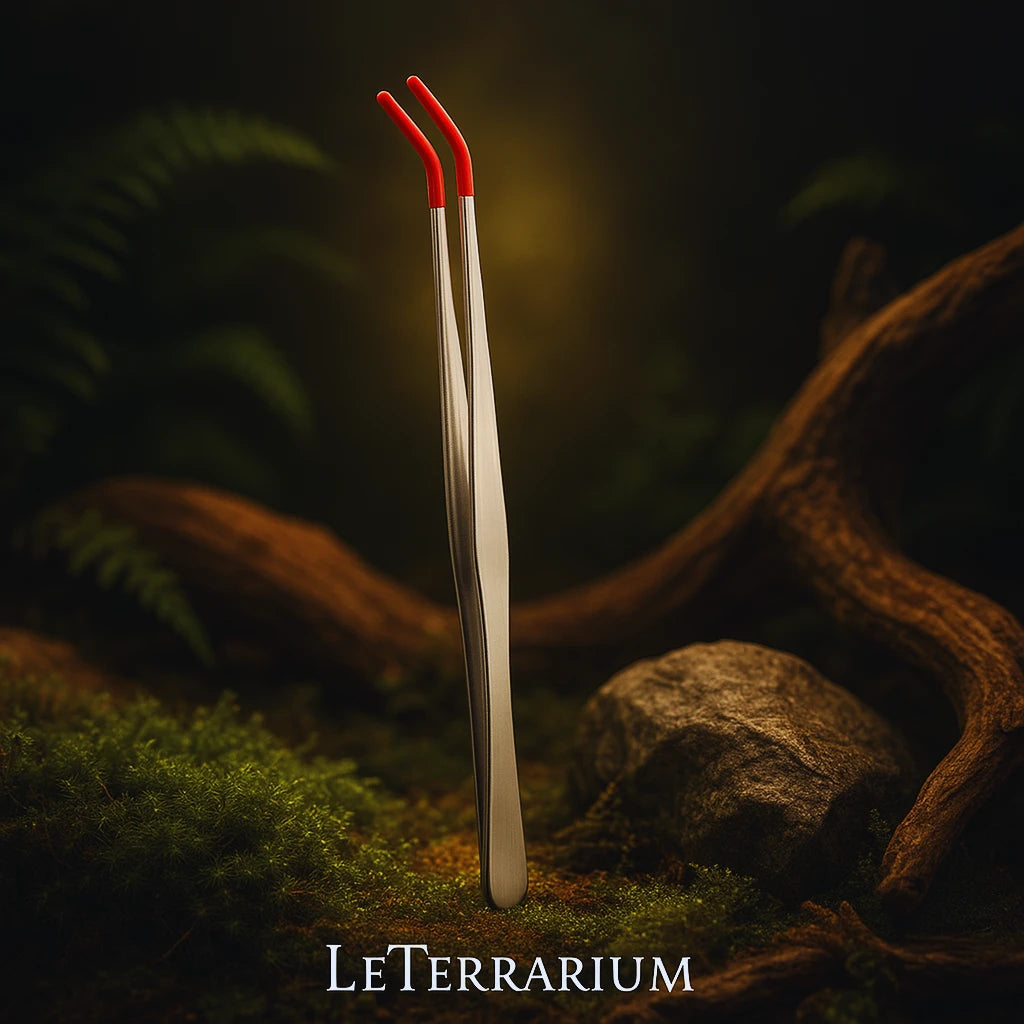 Pinces d’Alimentation pour Terrarium – Acier Inox & Embouts Sécurisés 