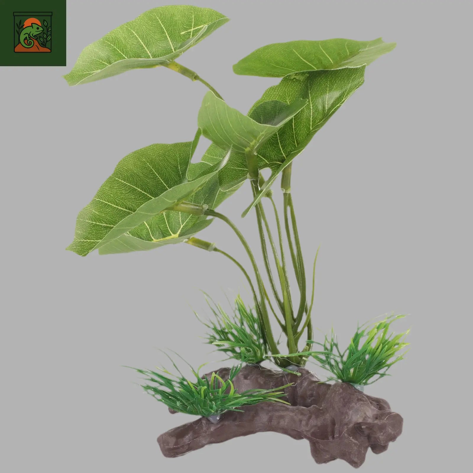 Plante Aquatique Artificielle Verte pour Terrarium – Herbe Décorative en Plastique (1 pièce) - LeTerrarium