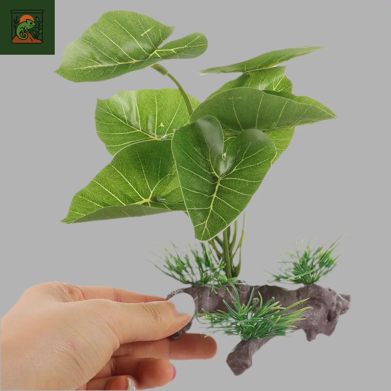 Plante Aquatique Artificielle Verte pour Terrarium – Herbe Décorative en Plastique (1 pièce) - LeTerrarium