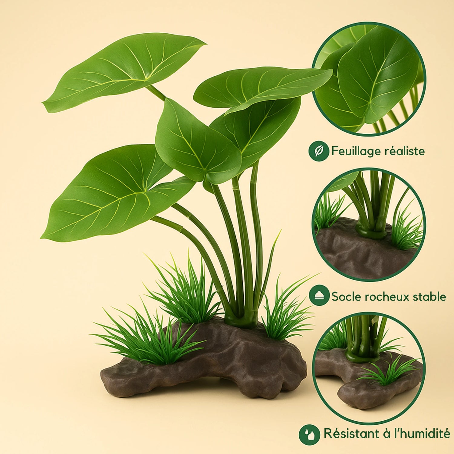 Plante Aquatique pour Terrarium – Paludarium, AquaTerrarium 