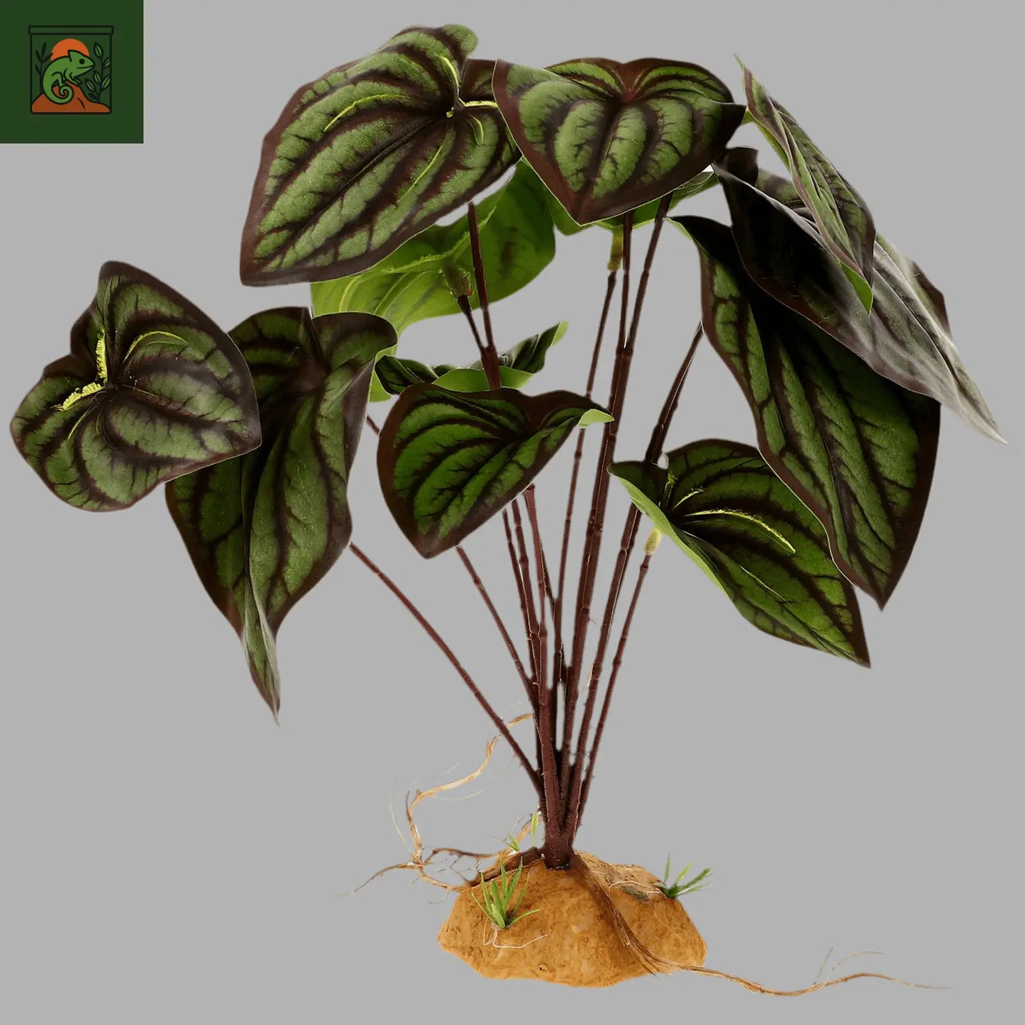 Plante Artificielle Déco pour Terrarium - LeTerrarium