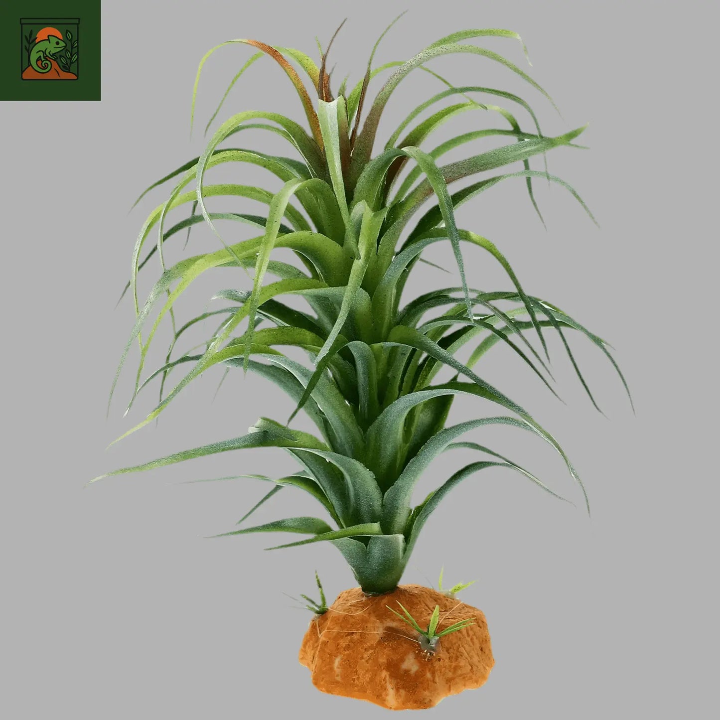 Plante Artificielle Déco pour Terrarium - LeTerrarium