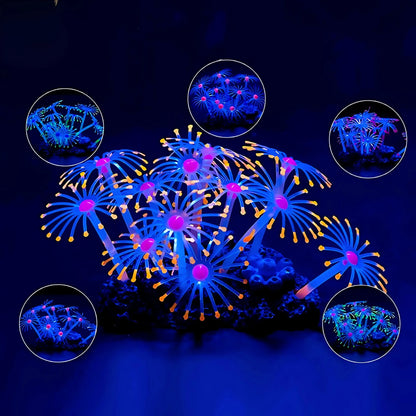 Plante Corail Fluorescente pour Terrarium – Décoration Lumineuse 