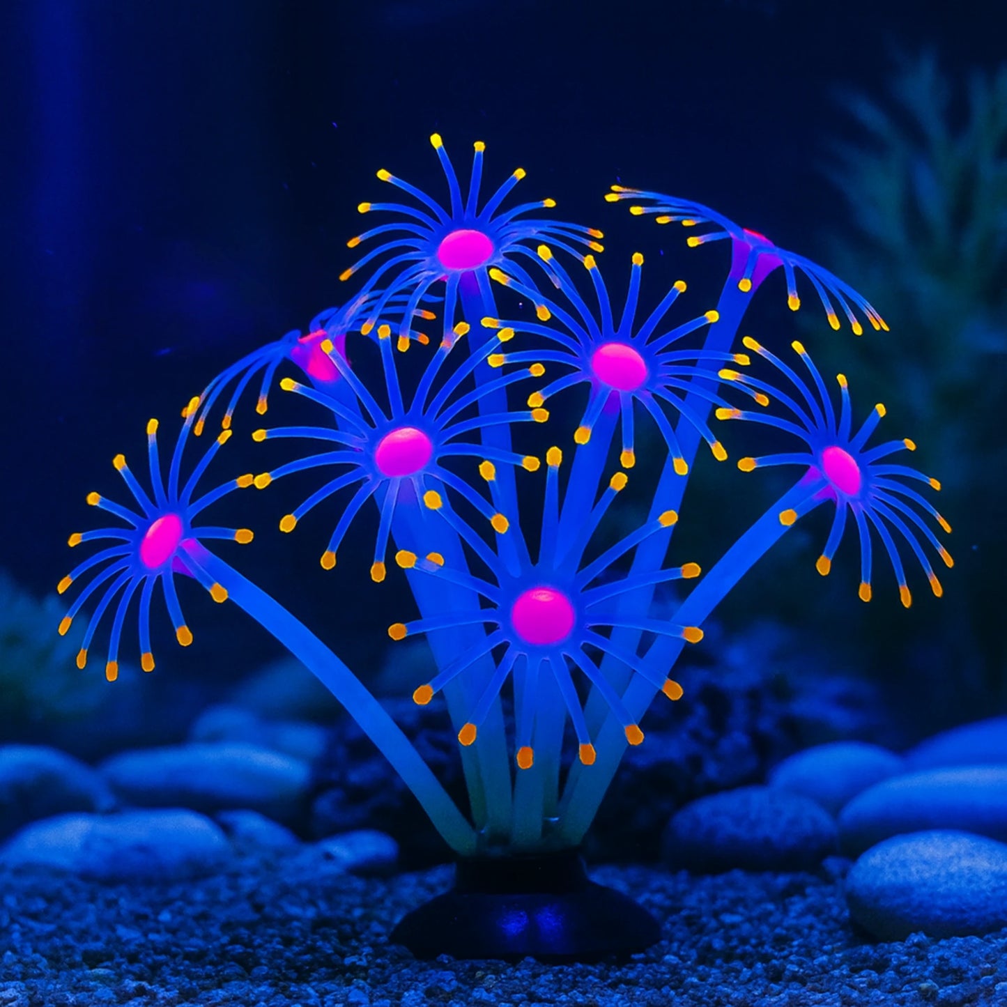 Plante Corail Fluorescente pour Terrarium – Décoration Lumineuse 
