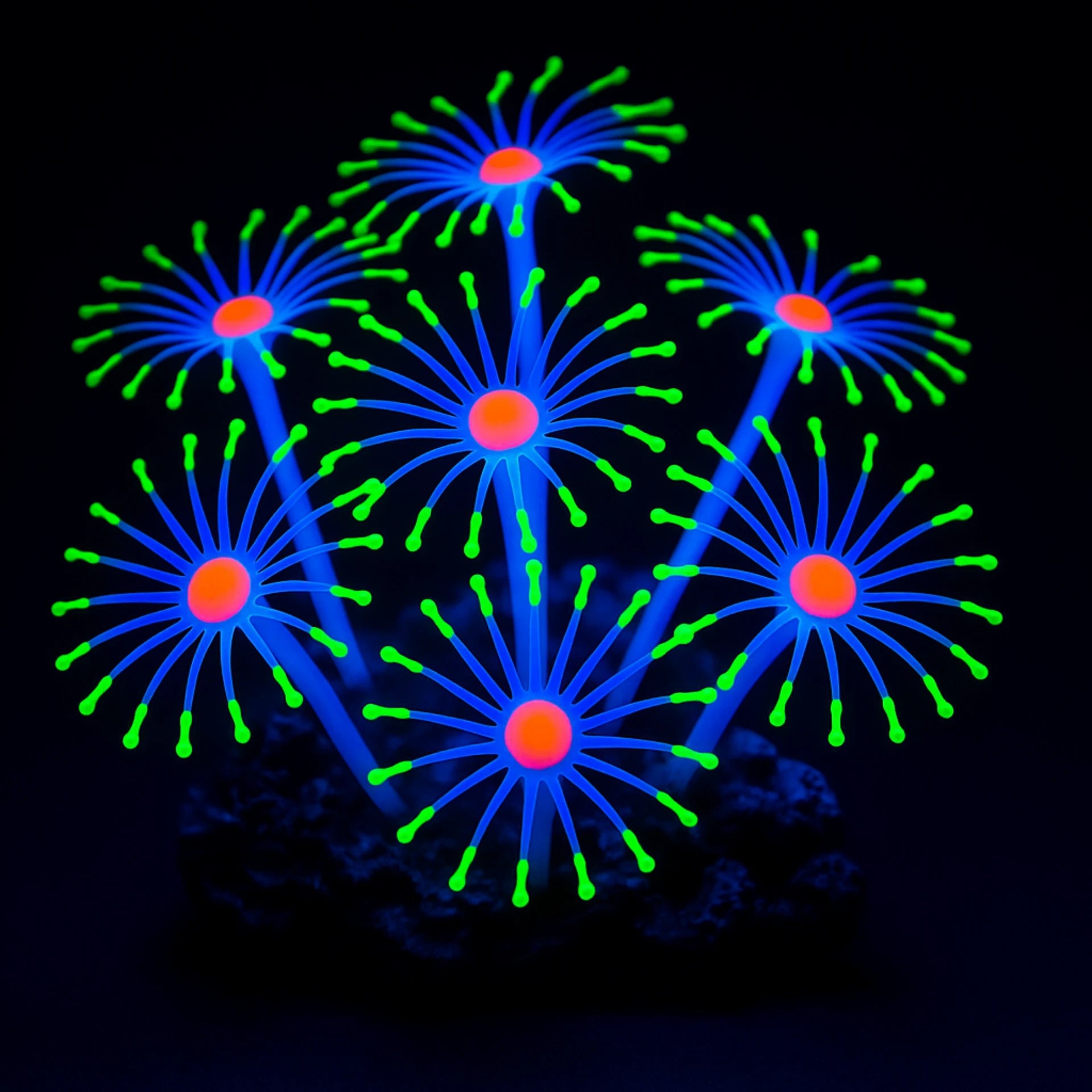 Plante Corail Fluorescente pour Terrarium – Décoration Lumineuse 