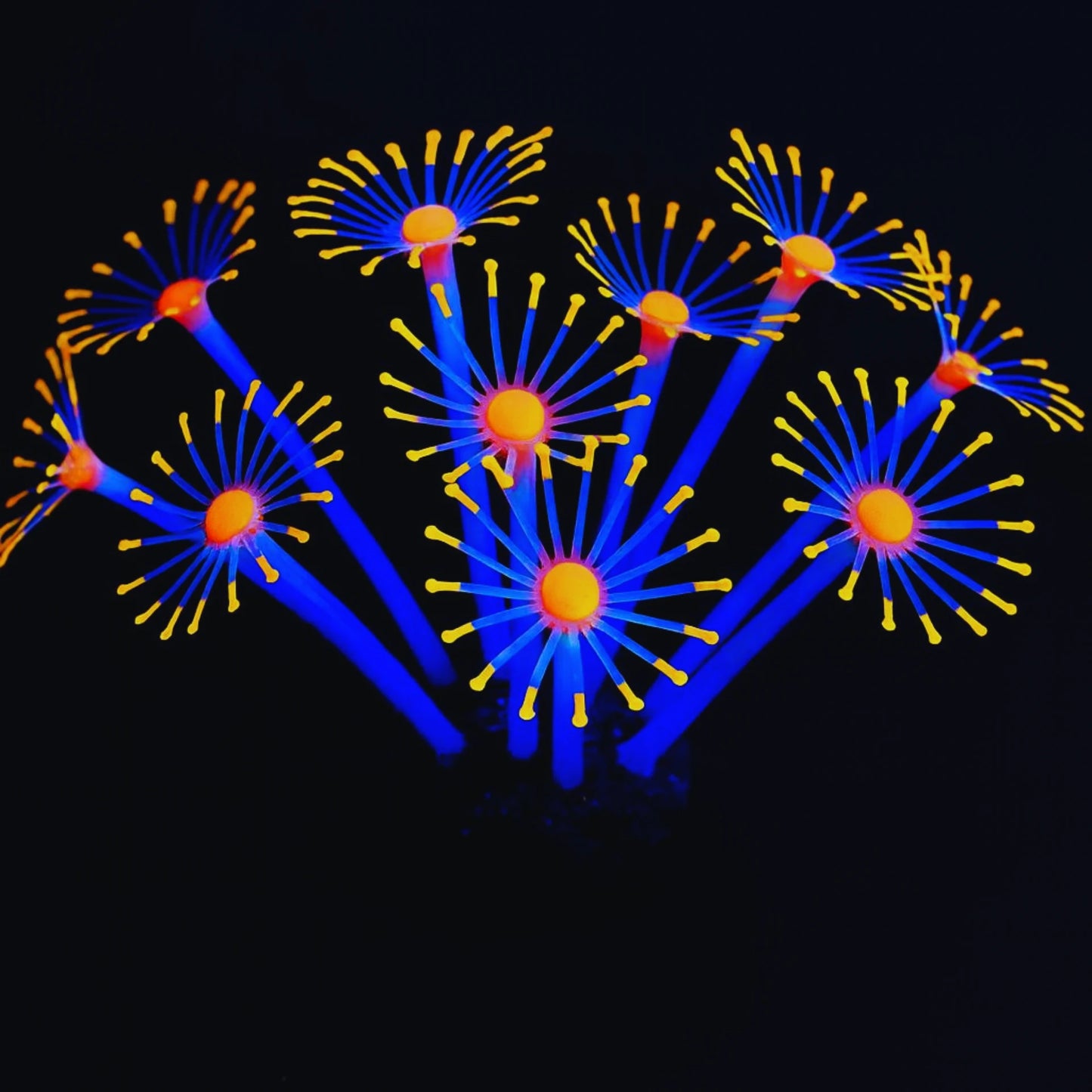 Plante Corail Fluorescente pour Terrarium – Décoration Lumineuse 