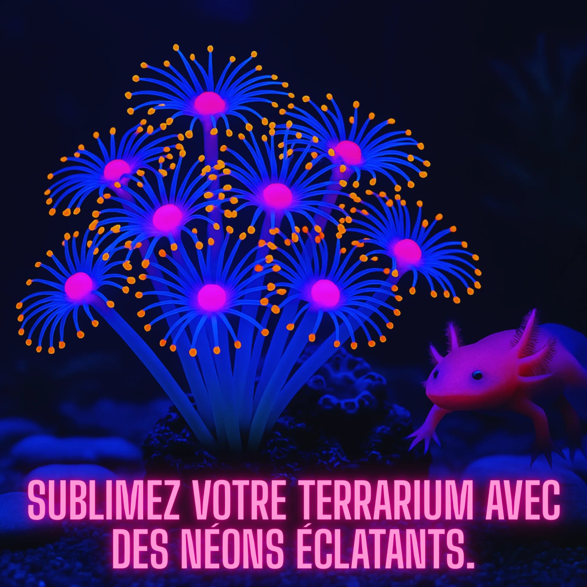 Plante Corail Fluorescente pour Terrarium – Décoration Lumineuse 