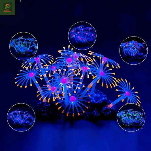Plante Corail Fluorescente pour Terrarium – Décoration Lumineuse 