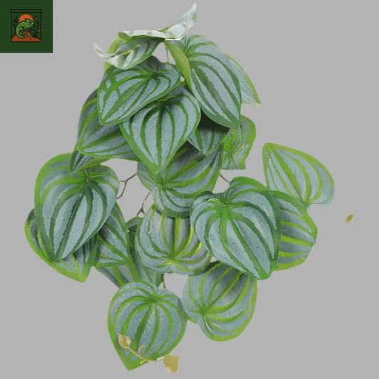 Plante Suspendue Artificielle avec Ventouse pour Terrarium – Liane Plastique pour Reptiles et Crustacés - LeTerrarium