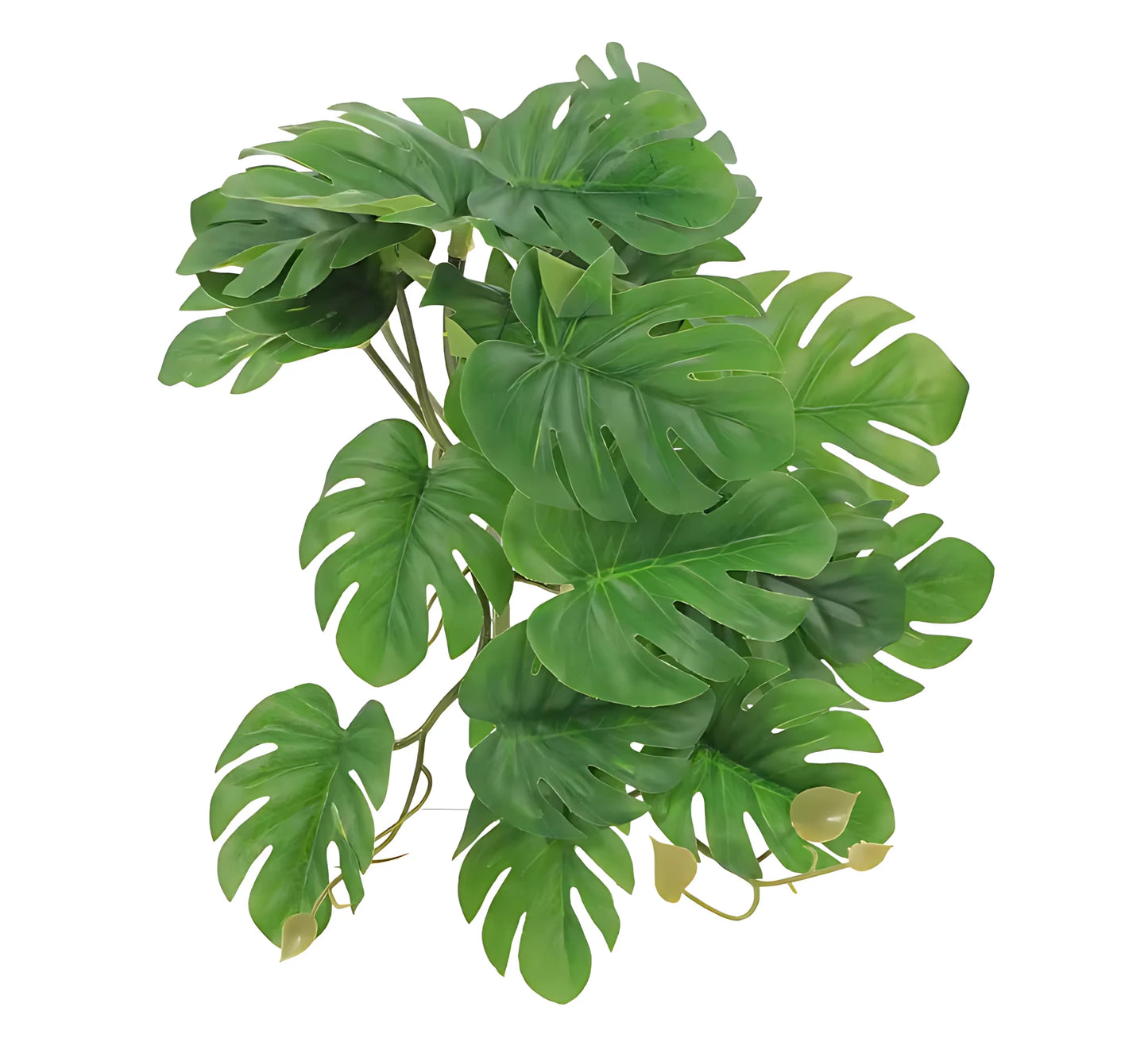 Plante Suspendue pour Terrarium avec Ventouse 
