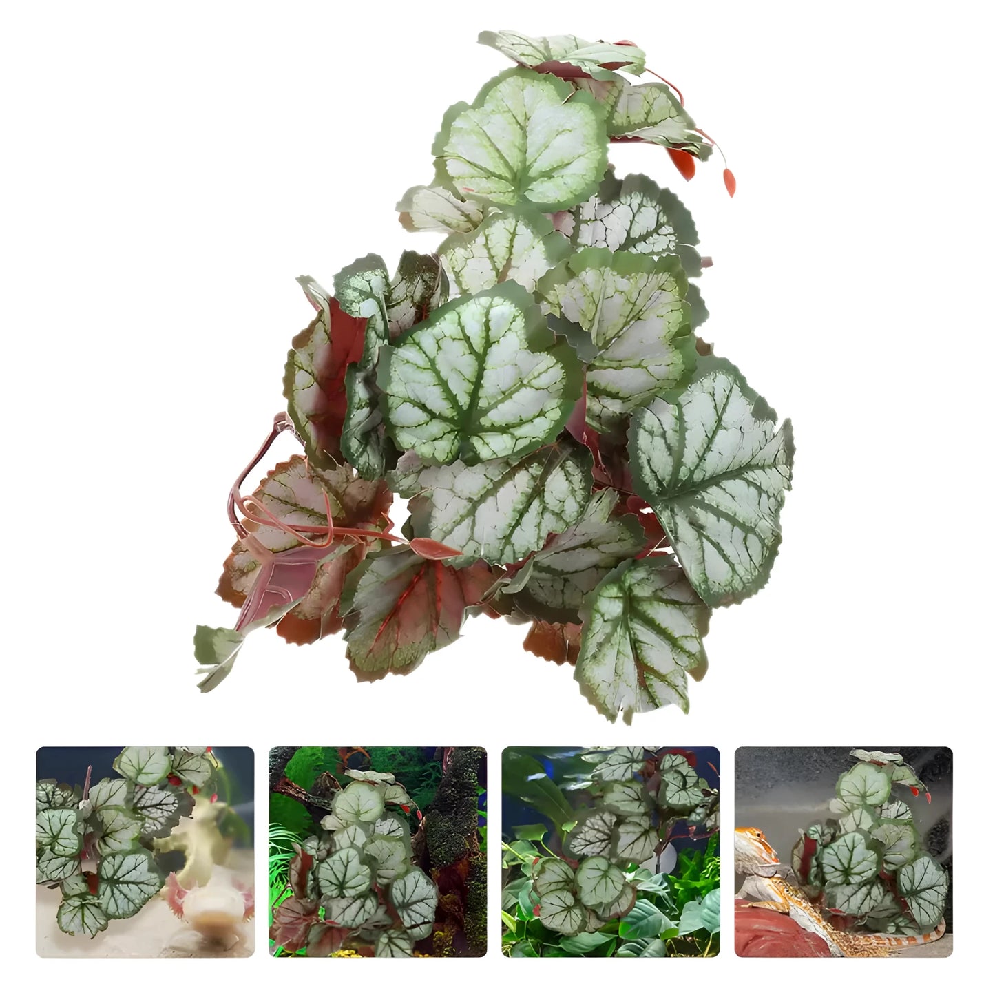 Plante Suspendue pour Terrarium avec Ventouse 