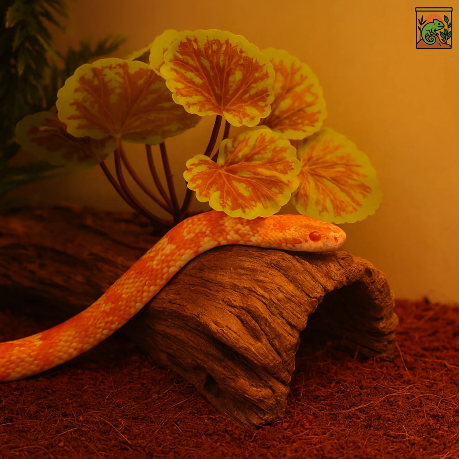 Plante Suspendue pour Terrarium avec Ventouse 