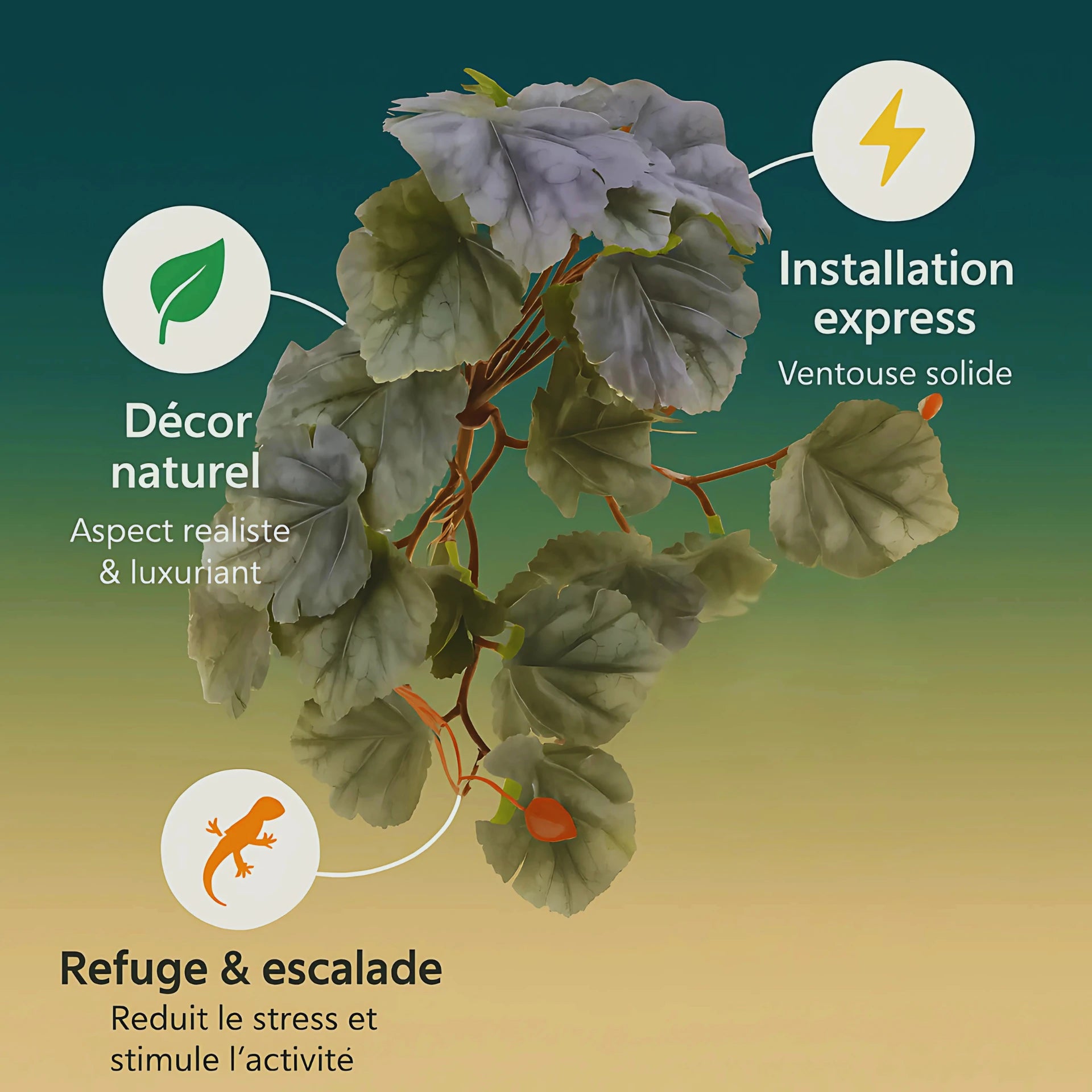 Plante Suspendue pour Terrarium avec Ventouse 