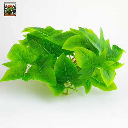 Plante Suspendue pour Terrarium avec Ventouse 
