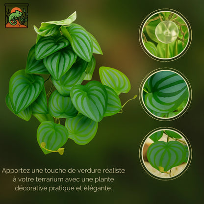 Plante Suspendue pour Terrarium avec Ventouse 