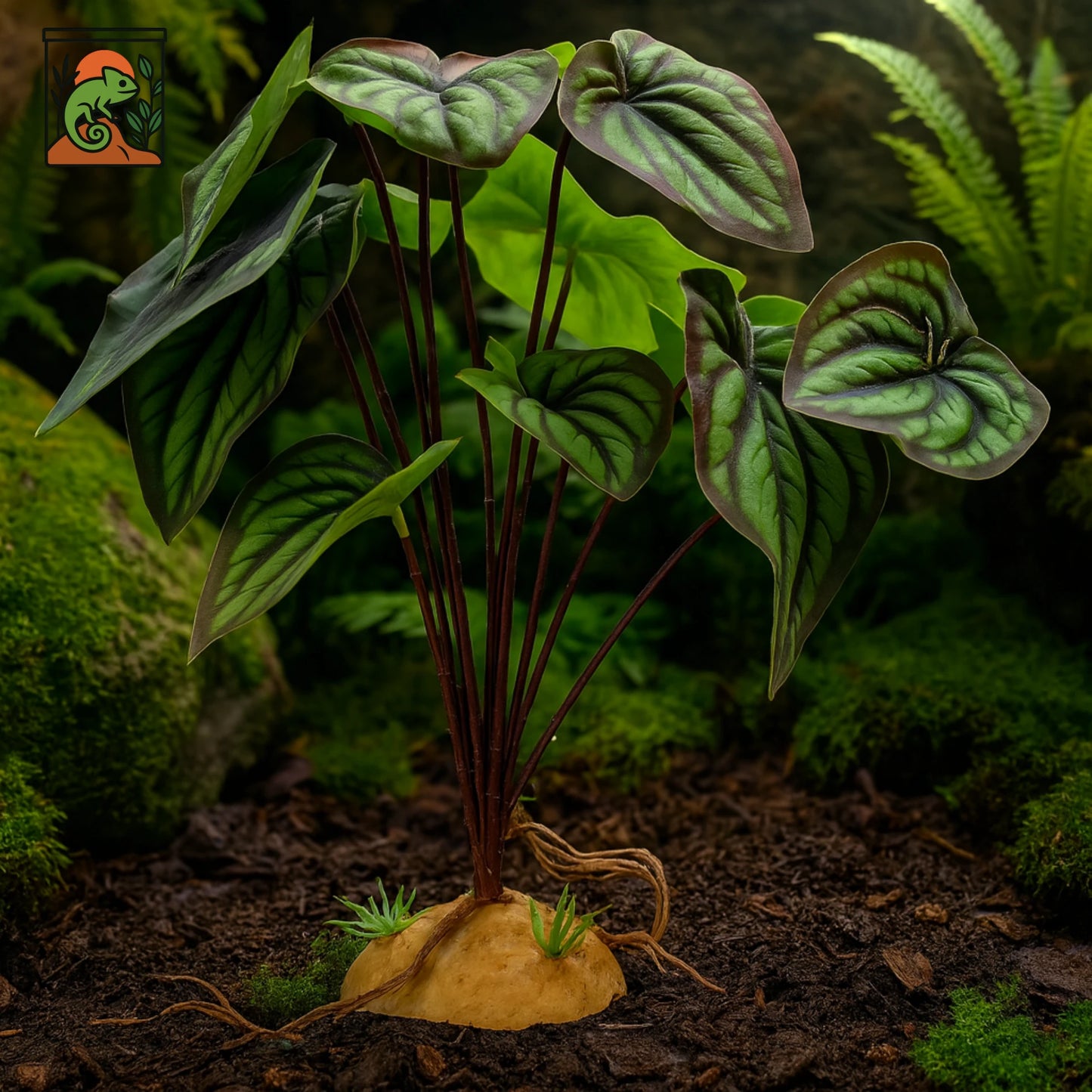 Plante Tropicale pour Terrarium – Feuillage Artificiel Réaliste 
